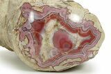 Colorful Polished Banded Agate Nodule - Utah #373509-1